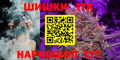 амф Можга