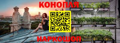 хмурый Аргун
