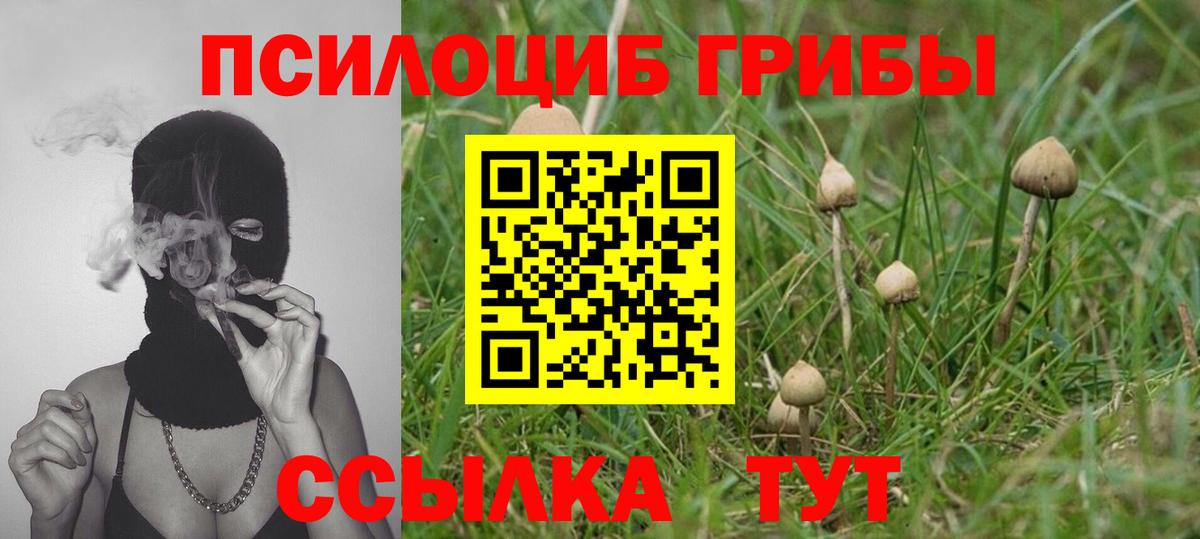 Псилоцибиновые грибы мухоморы Воронеж