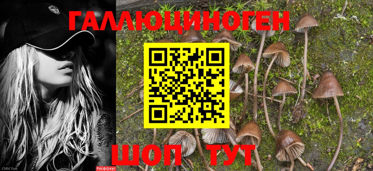 Псилоцибиновые грибы Magic Shrooms  цена наркотик  Воронеж  Вход с VPN 